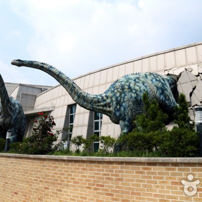 Haenam Uhangri Dinosaur Museum