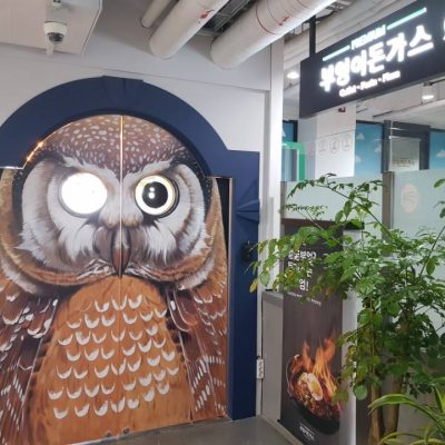 Owl's Cutlet Premium Namsan Seoul Tower